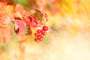 Similar image 13242979