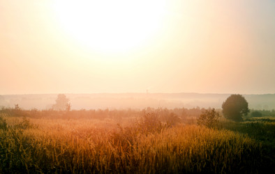 Similar image 13242980