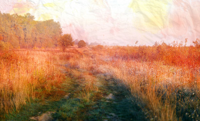 Similar image 13242981