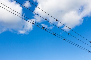 Similar image 13249555