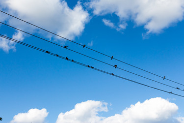 Similar image 13249574