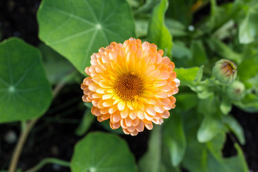 Similar image 13251458