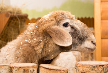 Similar image 13275512