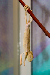 Similar image 13275513