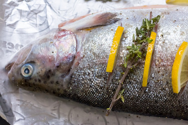 Similar image 13275523