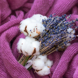 Similar image 13275549