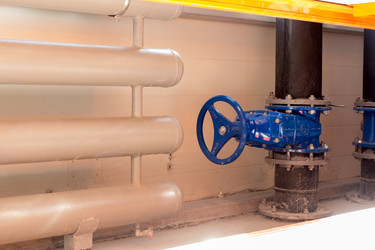 Similar image 13275553