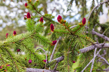 Similar image 13251009