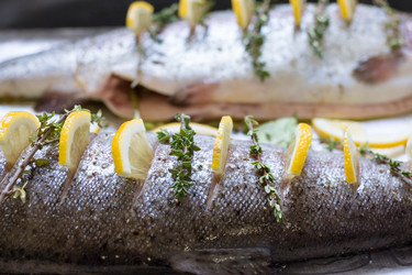 Similar image 13251452