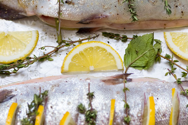 Similar image 13255113