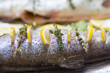 Similar image 13255114