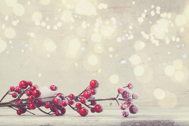 Similar image 13248164