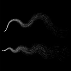 Similar image 13270057