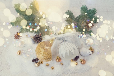 Similar image 13248002