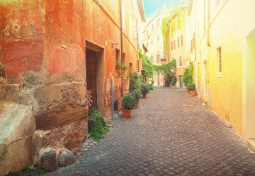 Similar image 13248115