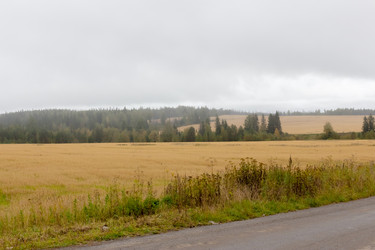 Similar image 13275554