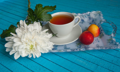 Similar image 13243243