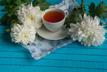 Similar image 13243245