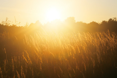 Similar image 13243019