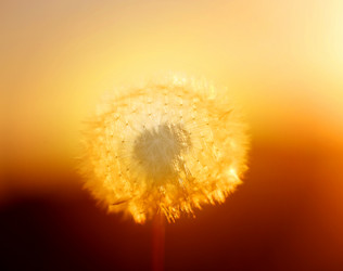 Similar image 13243005