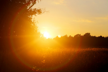 Similar image 13243006