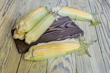 Similar image 13276892