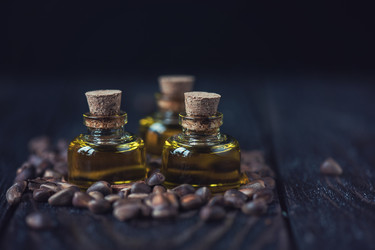 Similar image 13254785