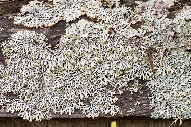 Similar image 13242806