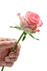 Similar image 13242807