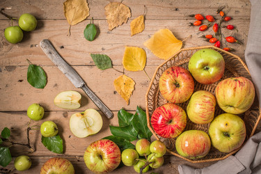 Similar image 13242814