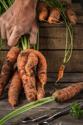 Similar image 13242817