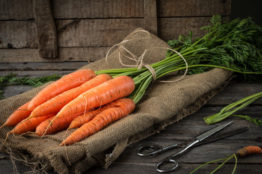 Similar image 13242818