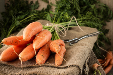 Similar image 13242819