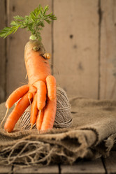 Similar image 13242820