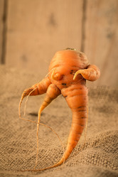 Similar image 13242821