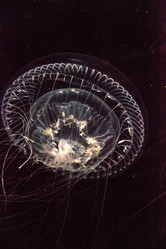 Similar image 13273603