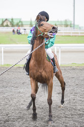 Similar image 13244370