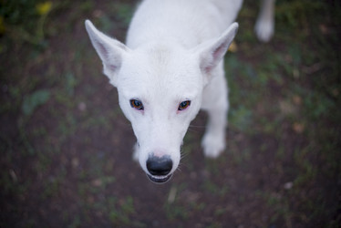 Similar image 13244373