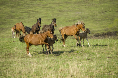 Similar image 13244376