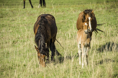 Similar image 13244377