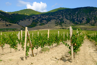 Similar image 13244357