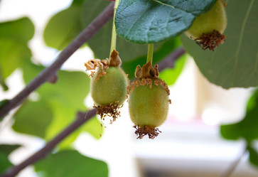 Similar image 13271272