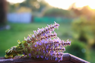 Similar image 13276408