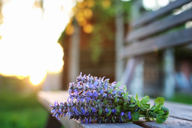 Similar image 13276604