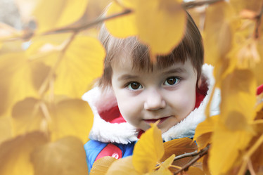 Similar image 13277547