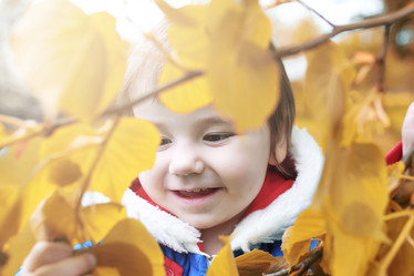 Similar image 13277820