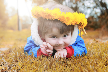 Similar image 13278167