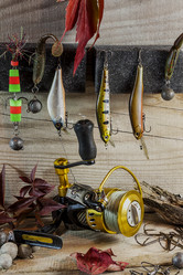 Similar image 13244365