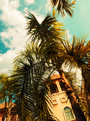 Similar image 13242872