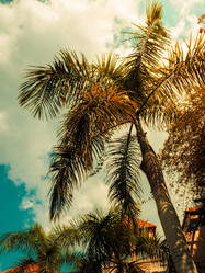 Similar image 13242879